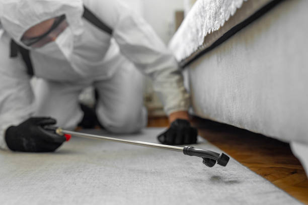 Professional Bed Bug Control technician working in Lincoln, ND
