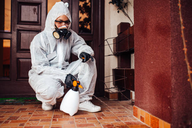 Reliable Bed Bug Control contractor in Lincoln, ND by Nex Pest Control